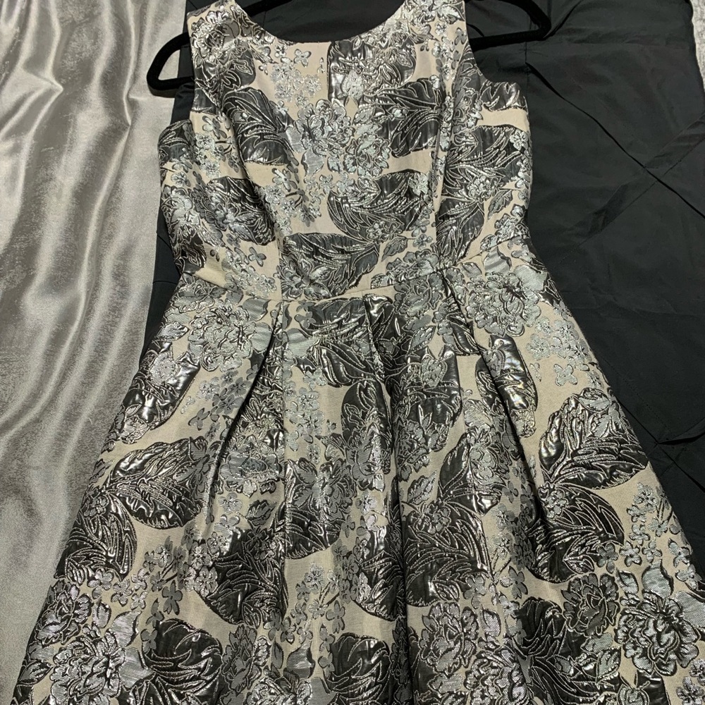 Like New Silver Fit & Flare Dress with Pockets
